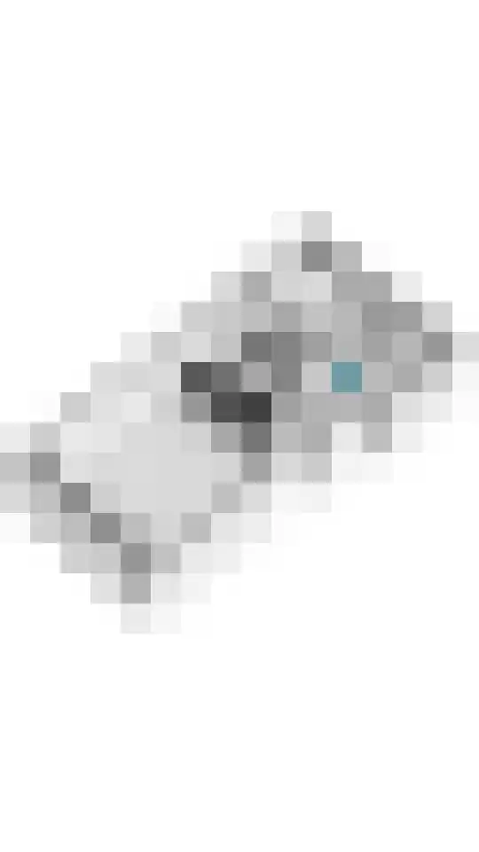 Oliemolenwal 19 01 Tiel thumbnail 36