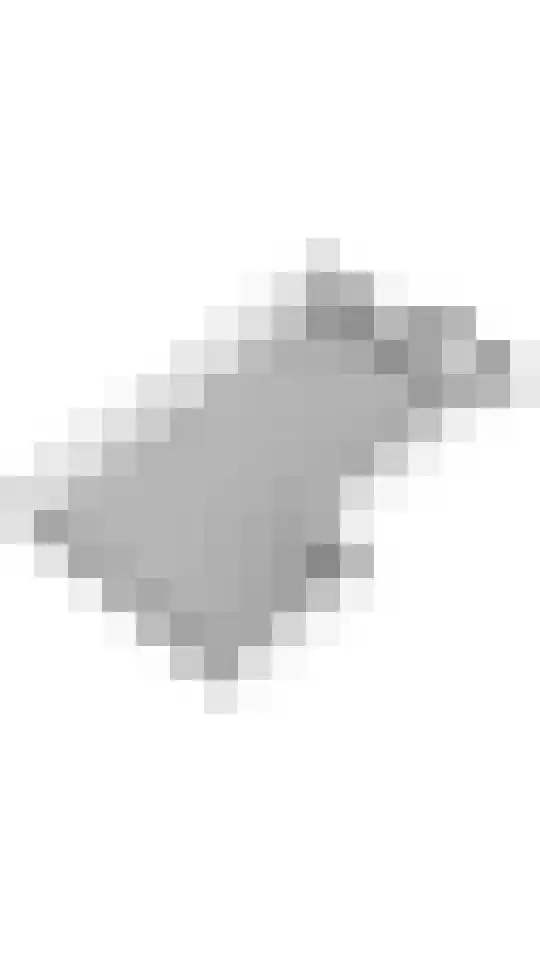 Oliemolenwal 19 01 Tiel thumbnail 37