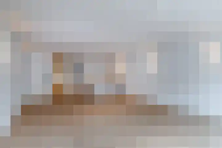 Oliemolenwal 19 02 Tiel thumbnail 11
