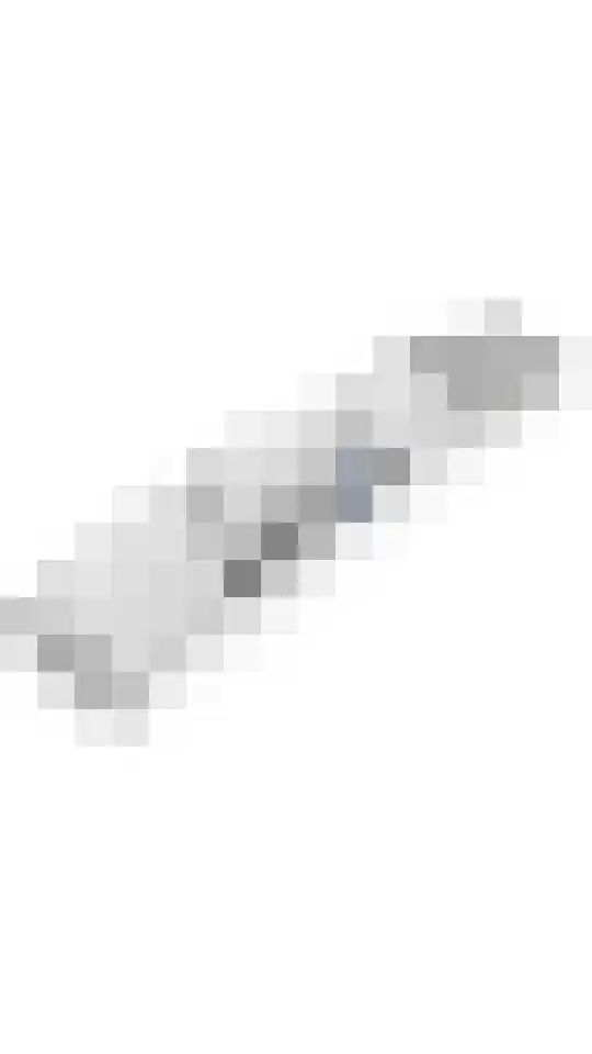 Oliemolenwal 19 02 Tiel thumbnail 30
