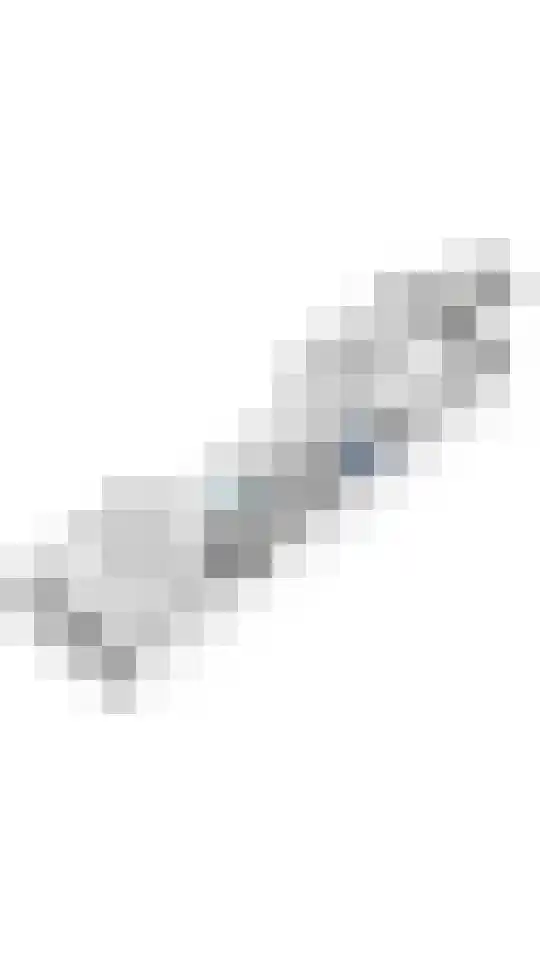 Oliemolenwal 19 03 Tiel thumbnail 40