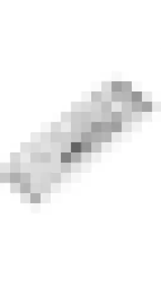 Oliemolenwal 19 04 Tiel thumbnail 32