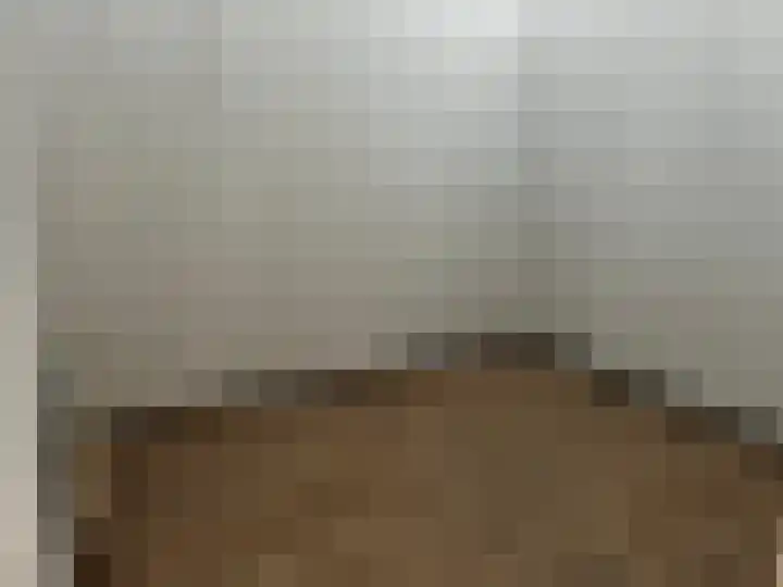 Oliemolenwal 25 19b Tiel thumbnail 10