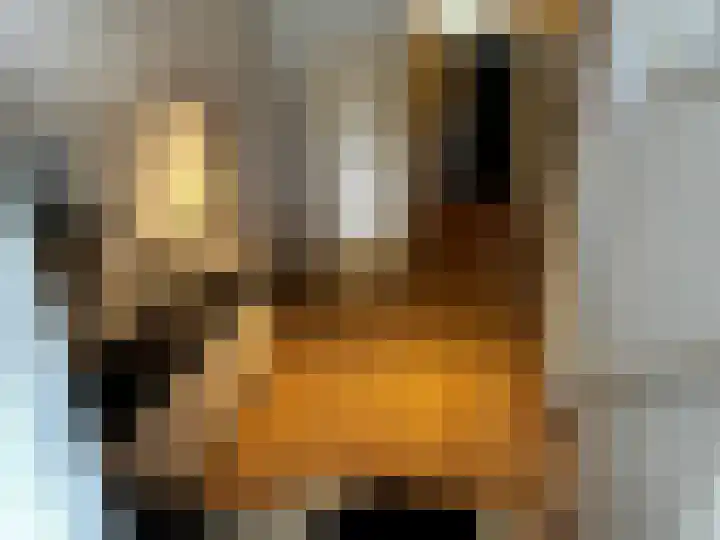 Oliemolenwal 25 19b Tiel thumbnail 11