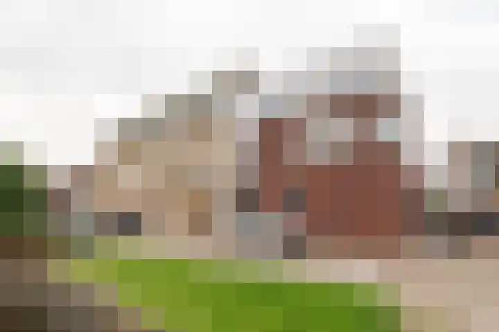 Oliemolenwal 25 19b Tiel thumbnail 17