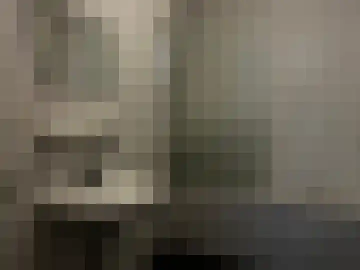 Oliemolenwal 25 19b Tiel thumbnail 4