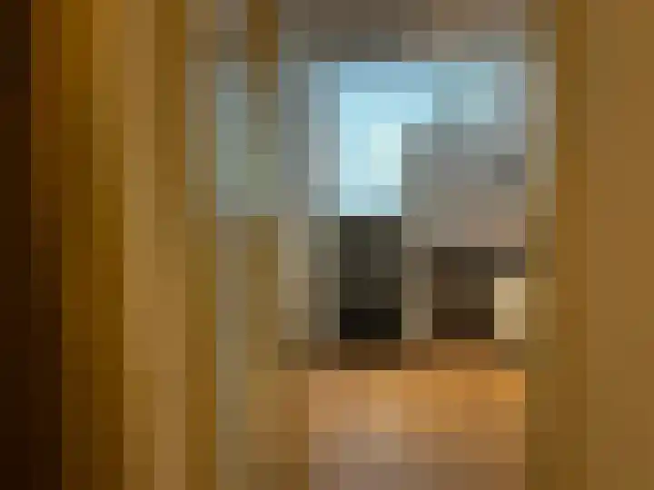 Oliemolenwal 25 19b Tiel thumbnail 6