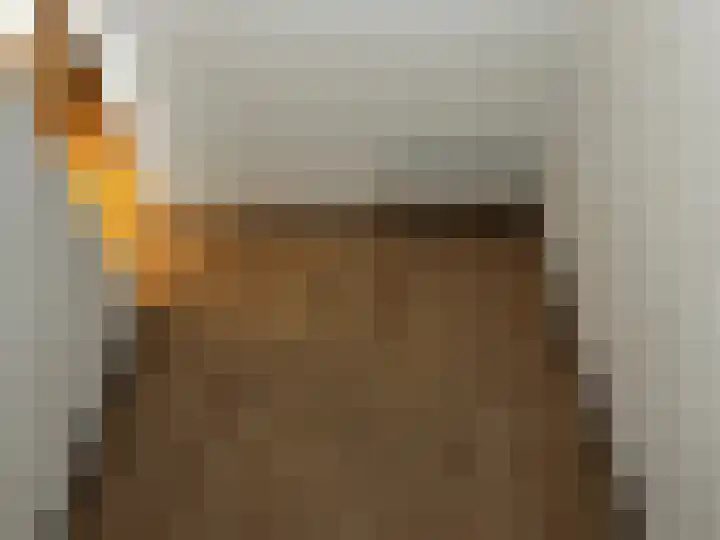 Oliemolenwal 25 19b Tiel thumbnail 9