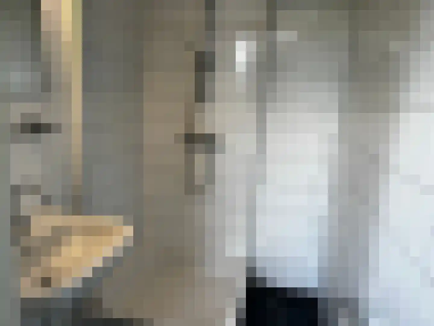 Oliemolenwal 25 21 Tiel thumbnail 16