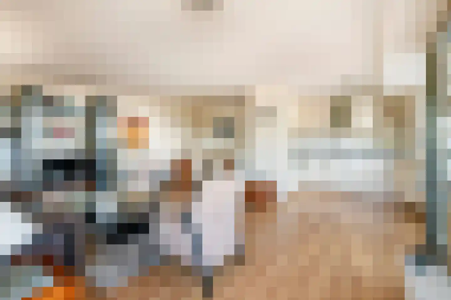 Oliemolenwal 89 Tiel thumbnail 15