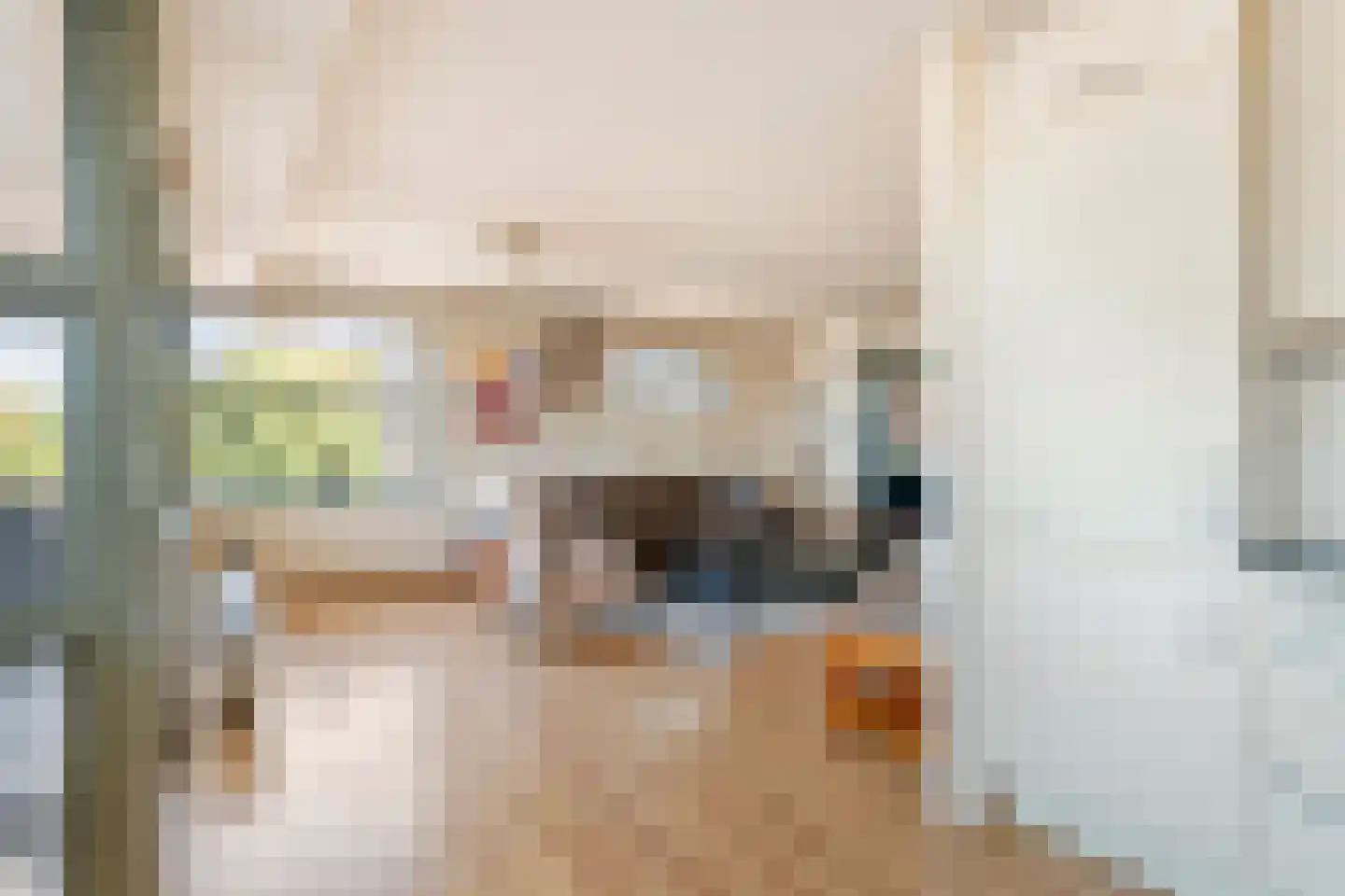 Oliemolenwal 89 Tiel thumbnail 19