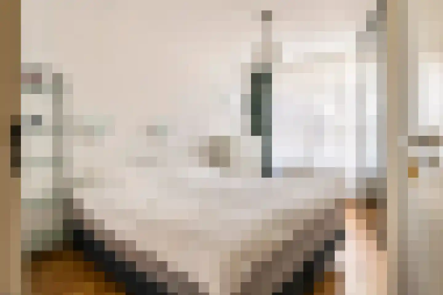 Oliemolenwal 89 Tiel thumbnail 22