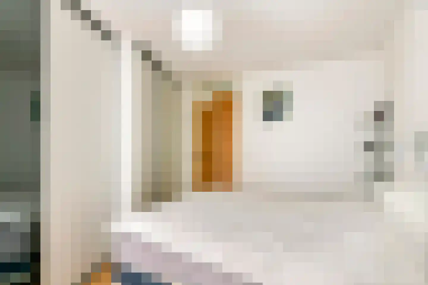 Oliemolenwal 89 Tiel thumbnail 23