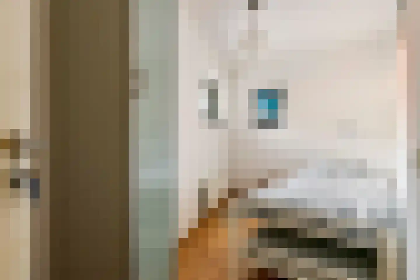 Oliemolenwal 89 Tiel thumbnail 25