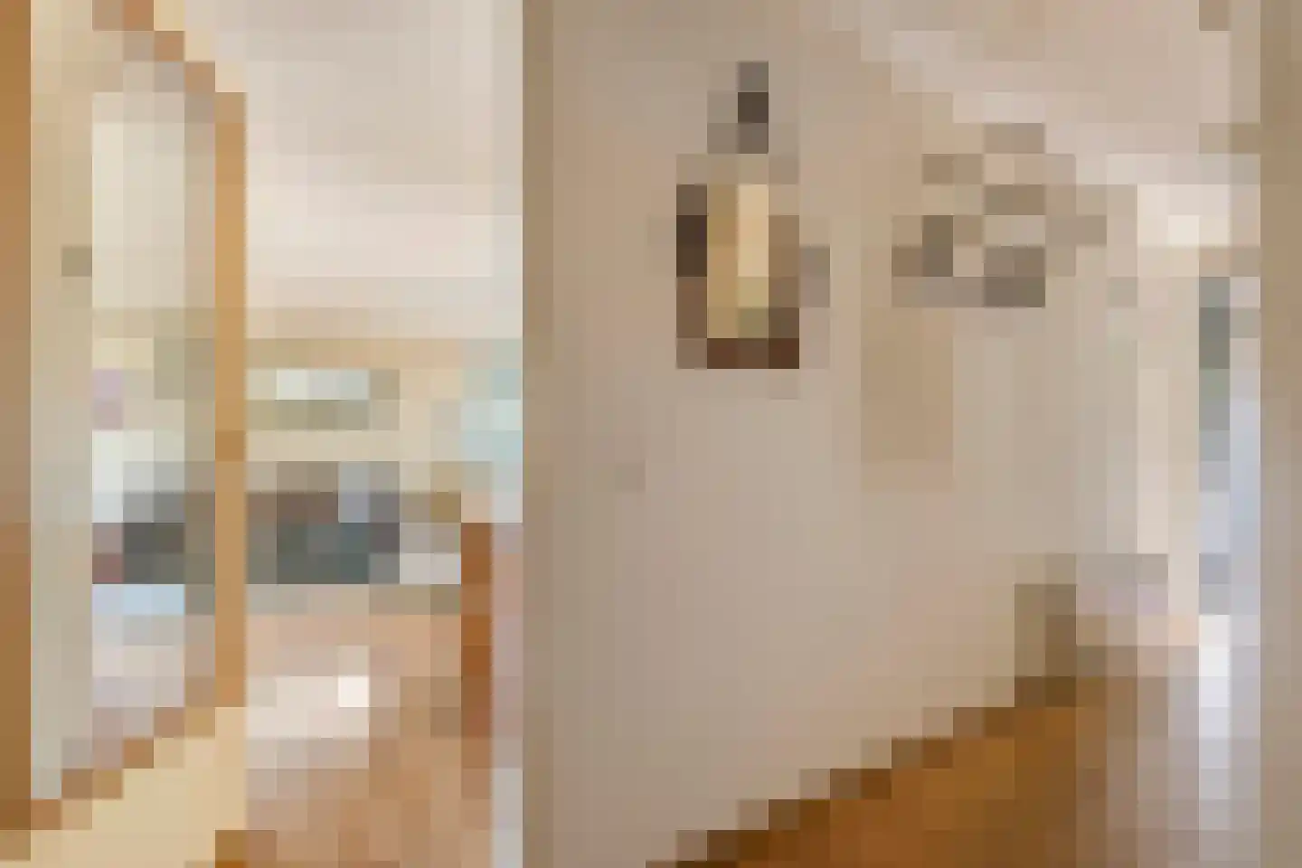 Oliemolenwal 89 Tiel thumbnail 6