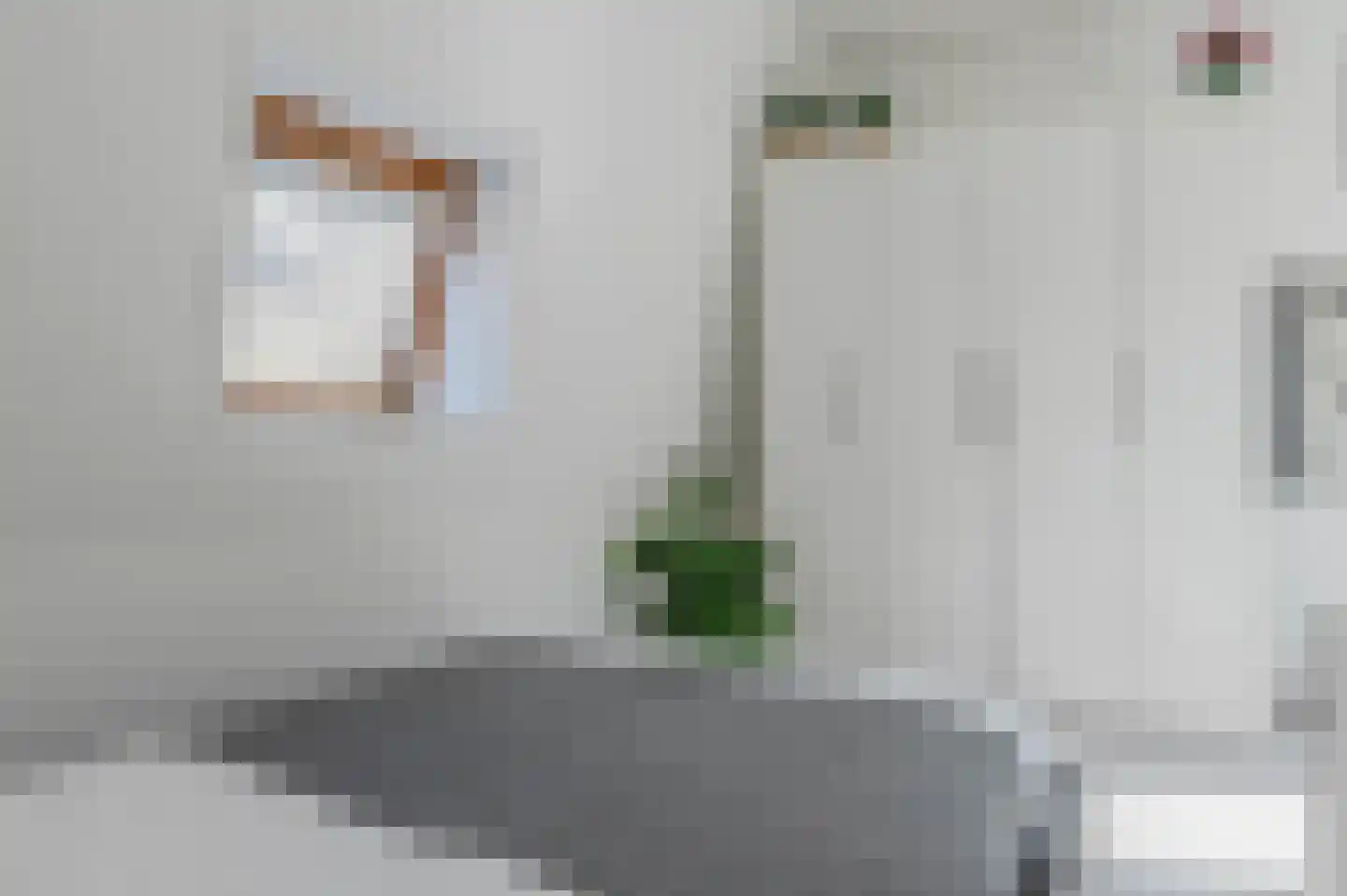 Oliemulderstraat 1 Groningen thumbnail 22