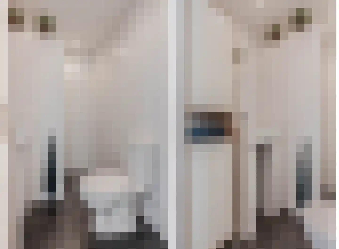 Oliemulderstraat 1 Groningen thumbnail 24