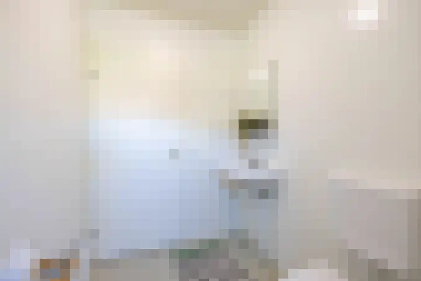 Oliemulderstraat 20 Groningen thumbnail 25