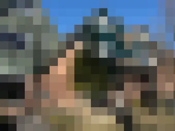 Olieslager 12 Best