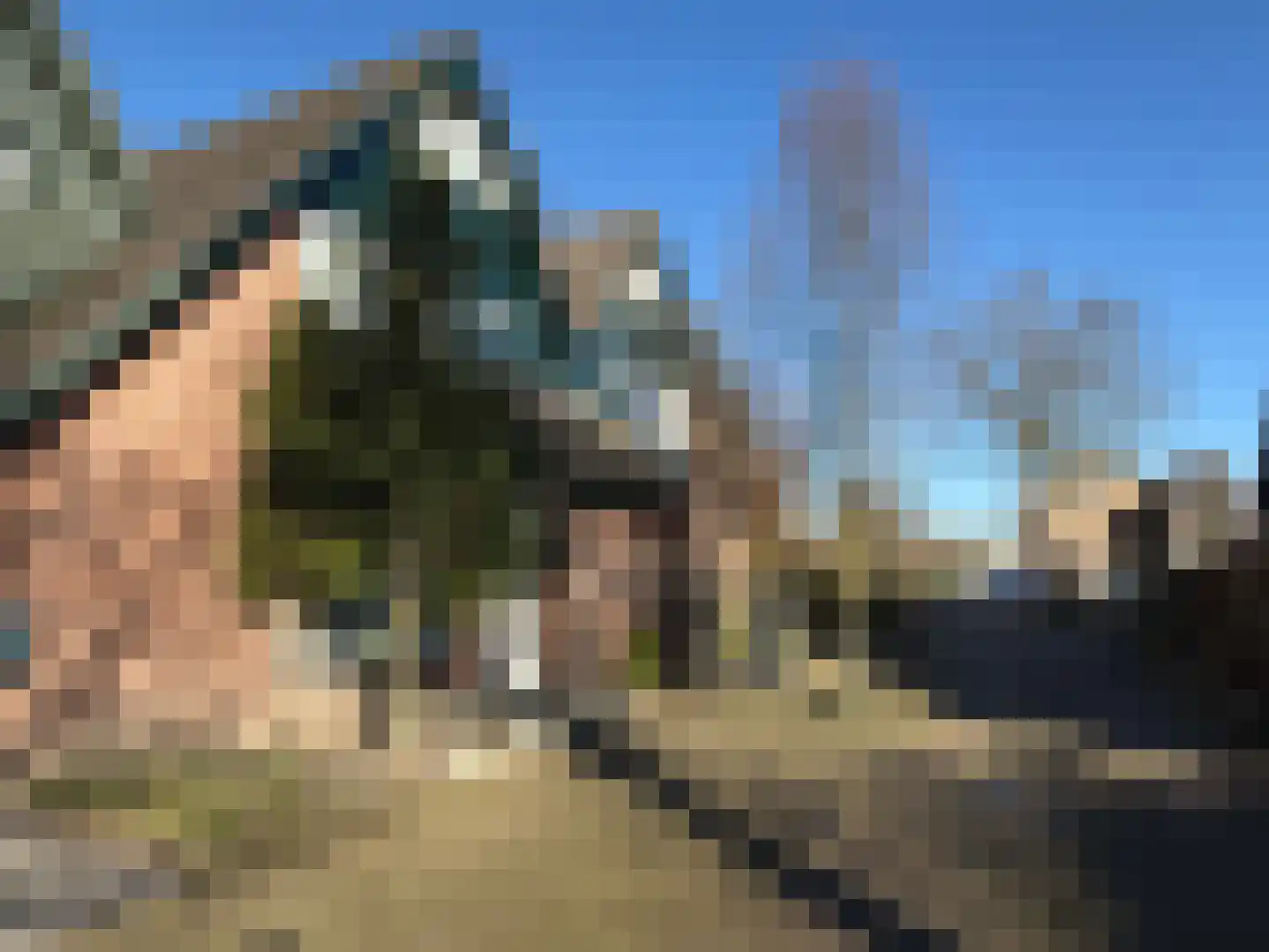 Olieslager 12 Best thumbnail 5