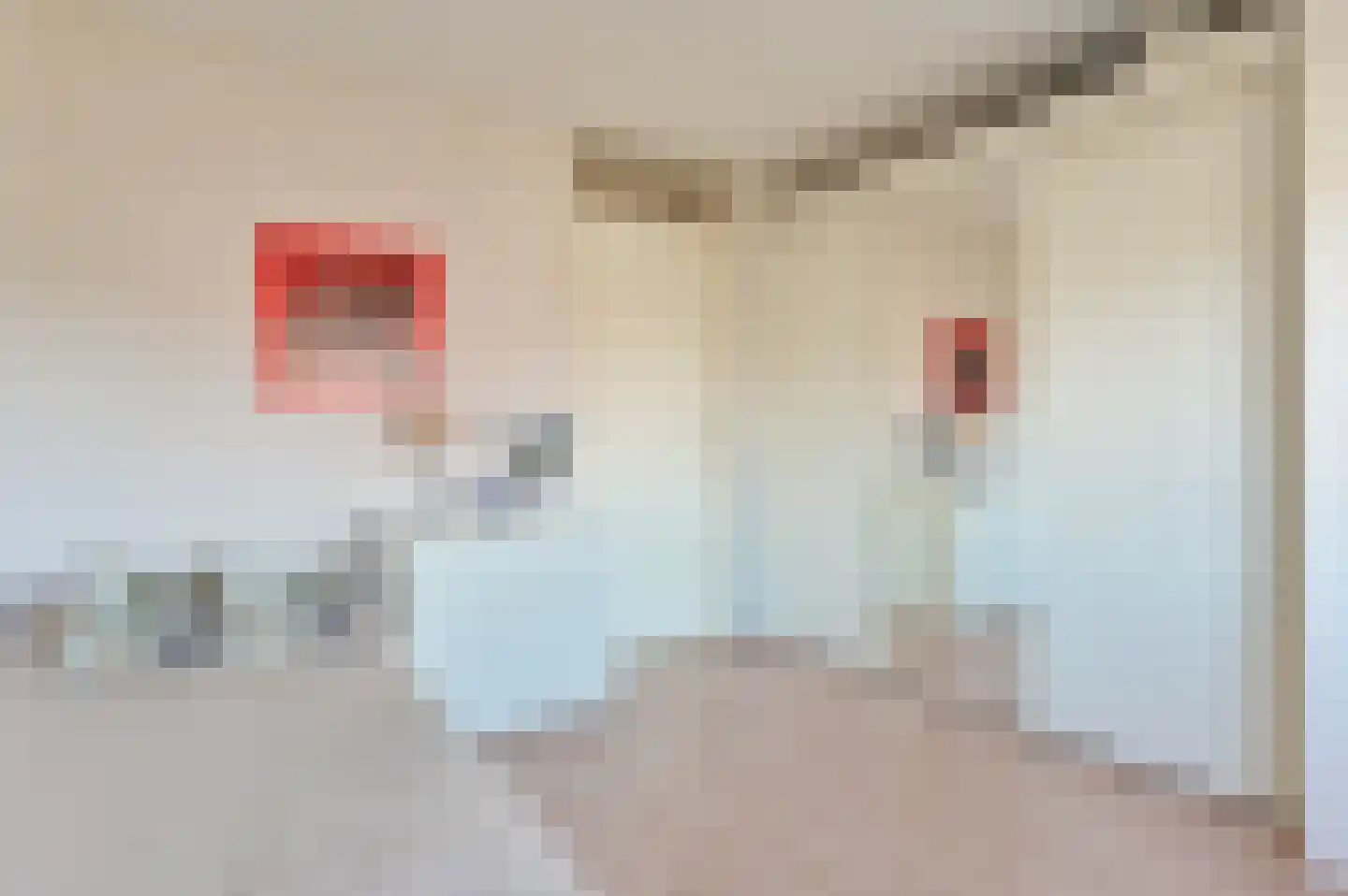 Olieslager 14 Leiderdorp thumbnail 22