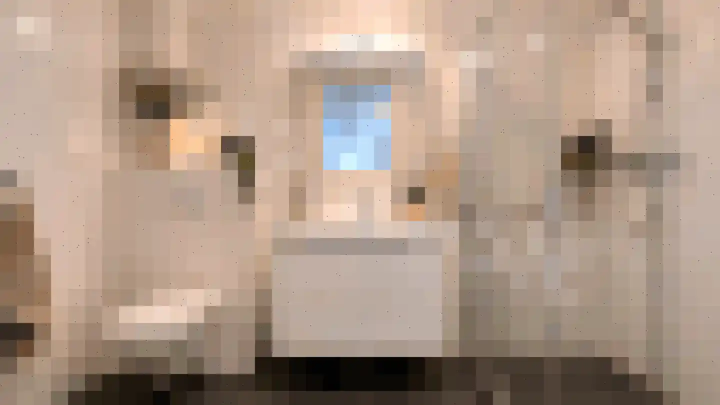 Olieslager 14 Leiderdorp thumbnail 32