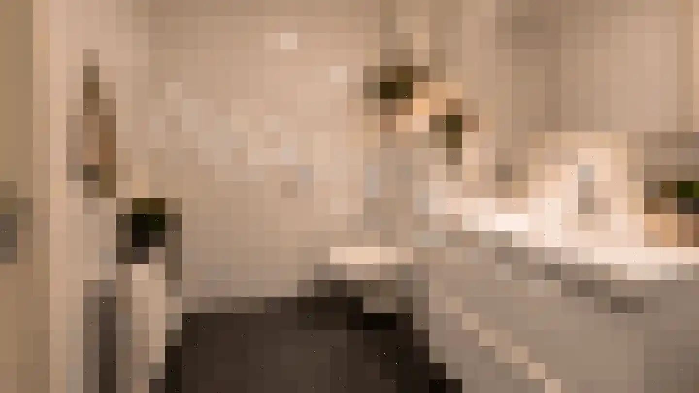 Olieslager 14 Leiderdorp thumbnail 35