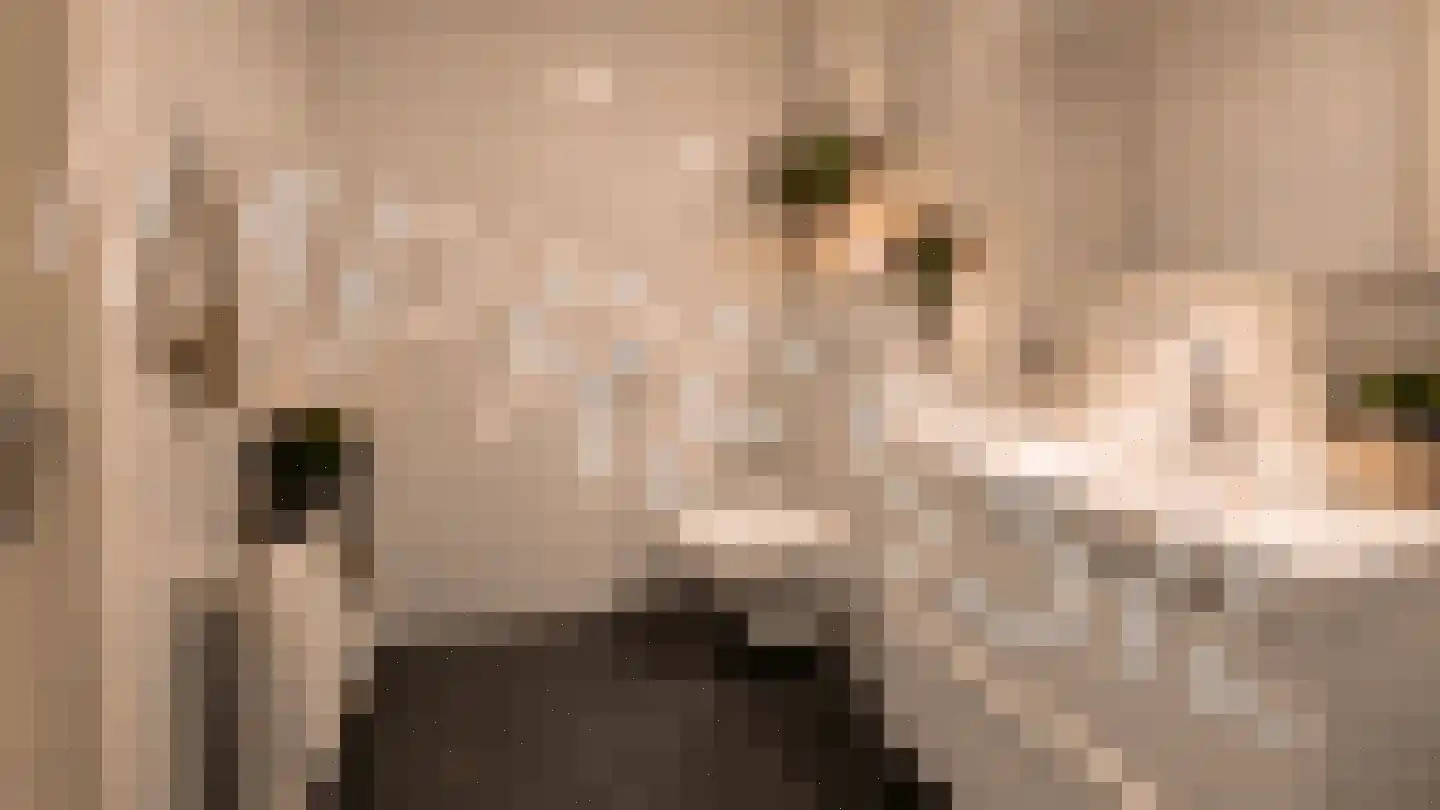 Olieslager 14 Leiderdorp thumbnail 35