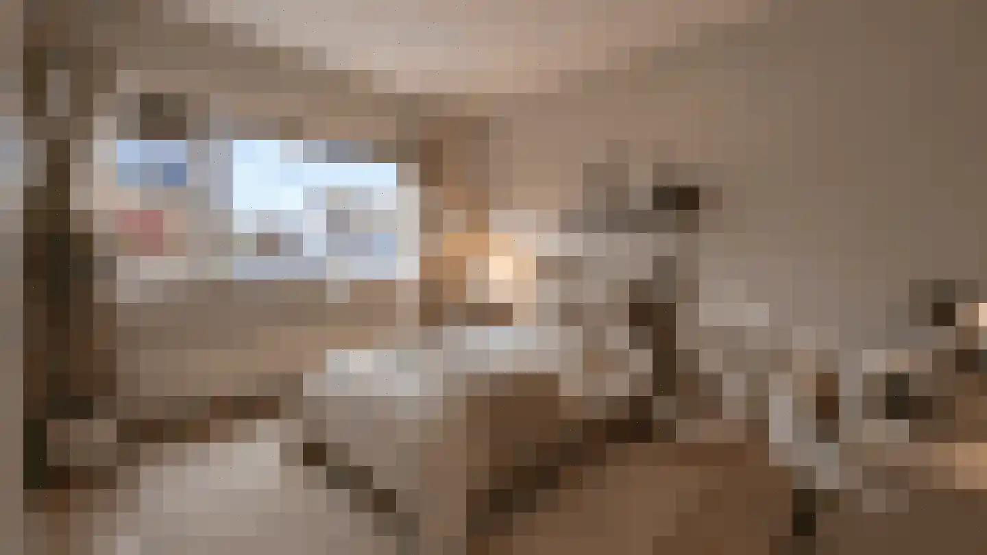 Olieslager 14 Leiderdorp thumbnail 37