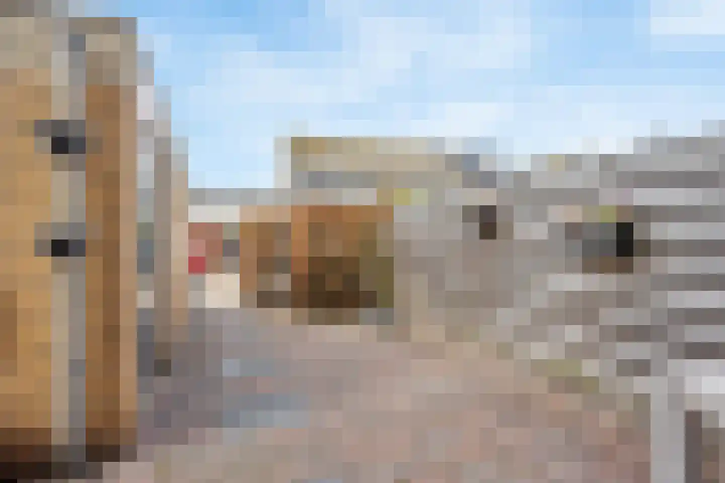 Olieslager 16 Leiderdorp thumbnail 35