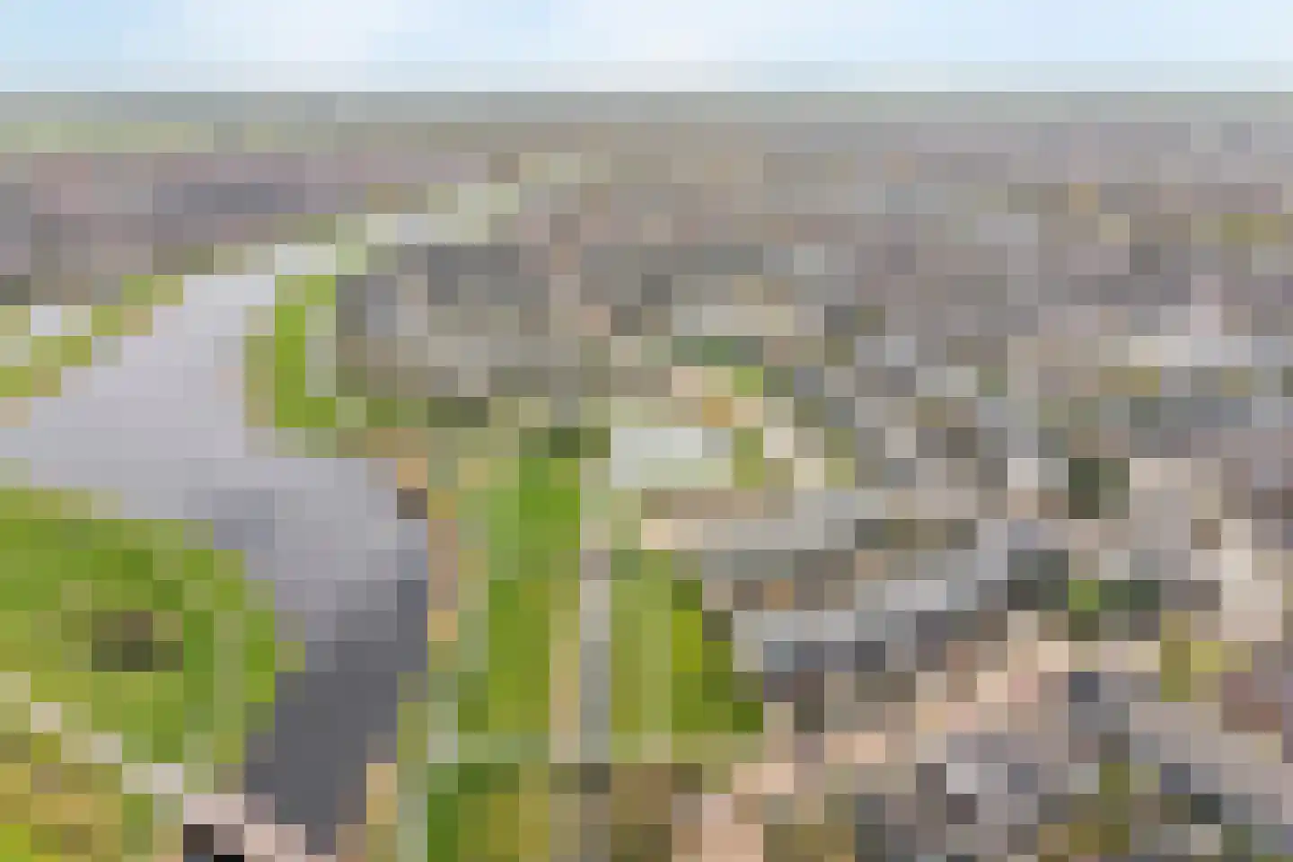 Olieslager 16 Leiderdorp thumbnail 47