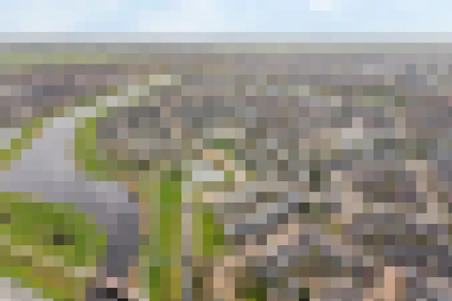 Olieslager 16 Leiderdorp thumbnail 48