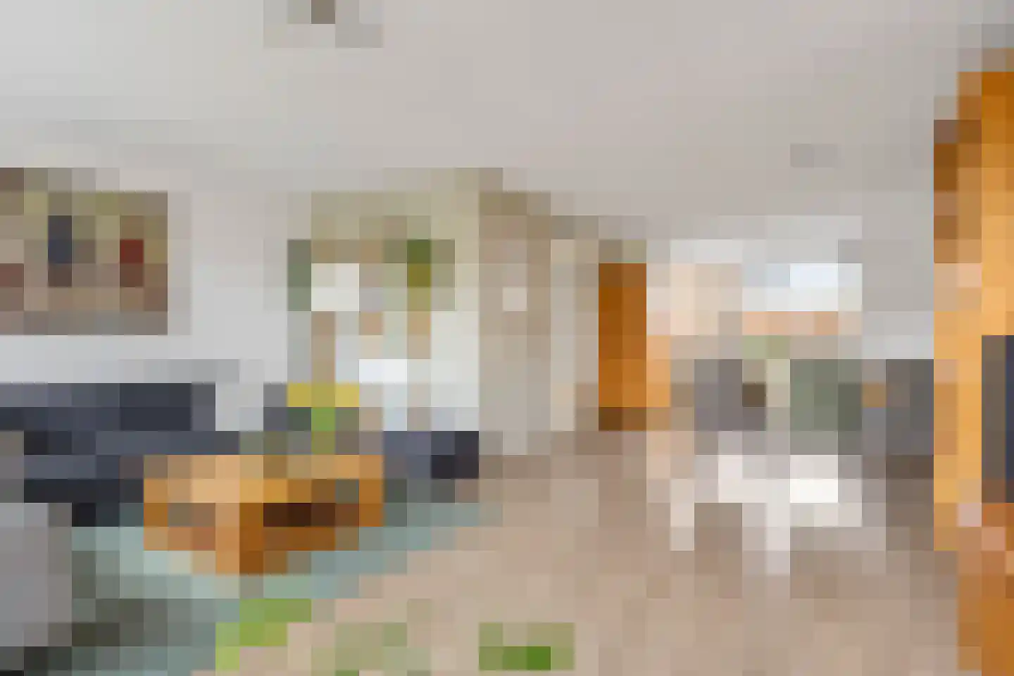 Olieslager 16 Leiderdorp thumbnail 8