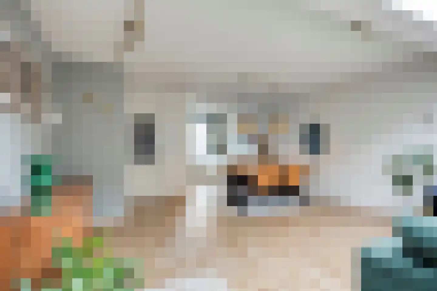 Olieslager 27 Best thumbnail 14
