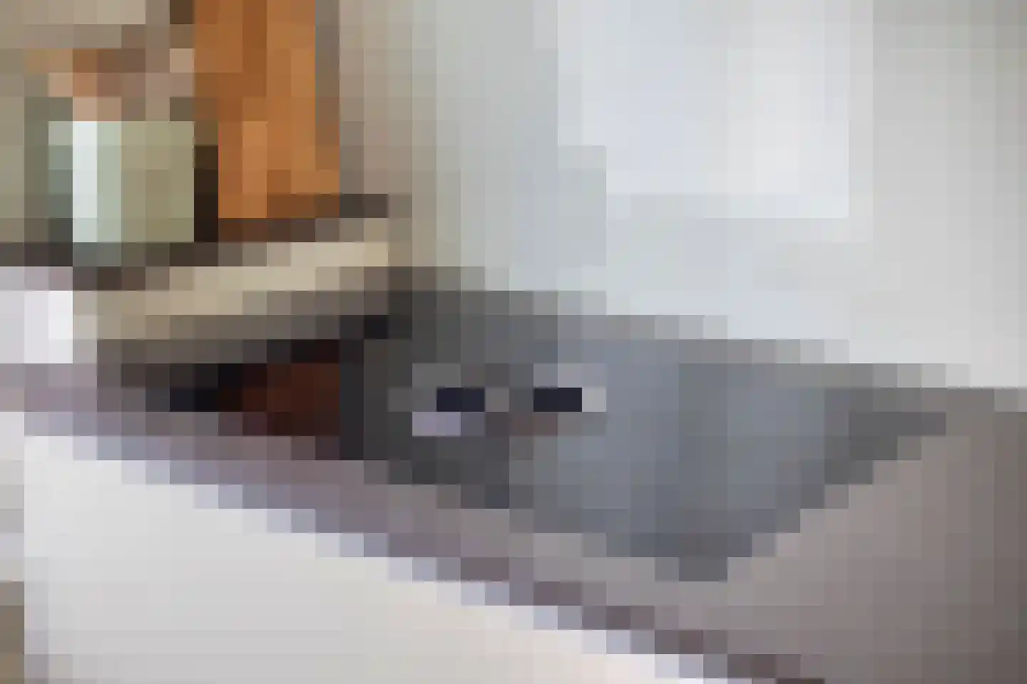Olieslager 27 Best thumbnail 18