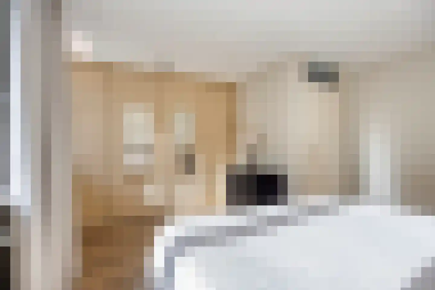 Olieslager 27 Best thumbnail 26