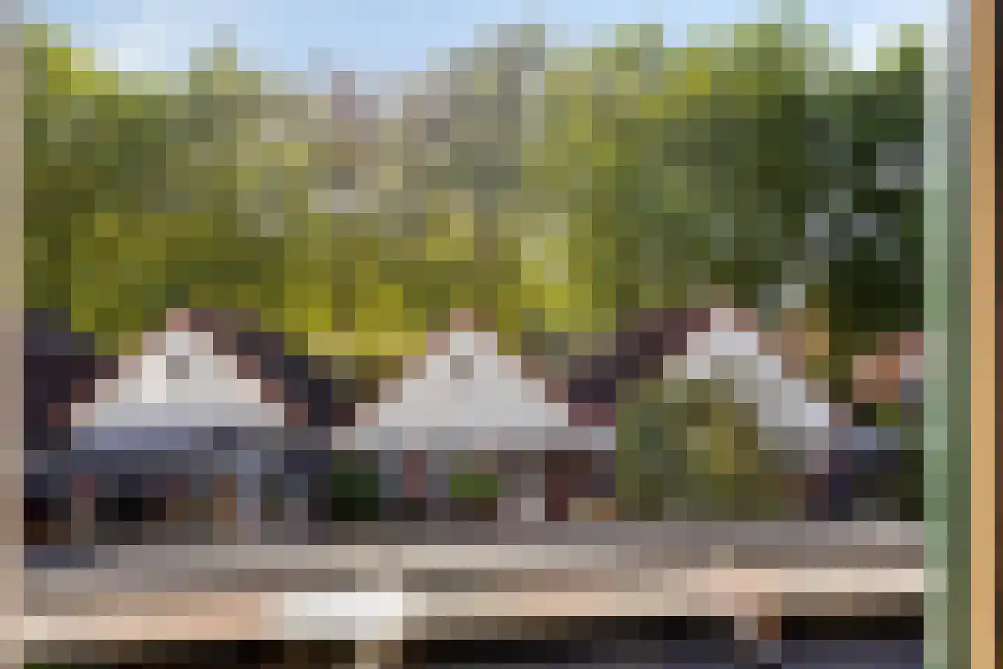 Olieslager 27 Best thumbnail 27