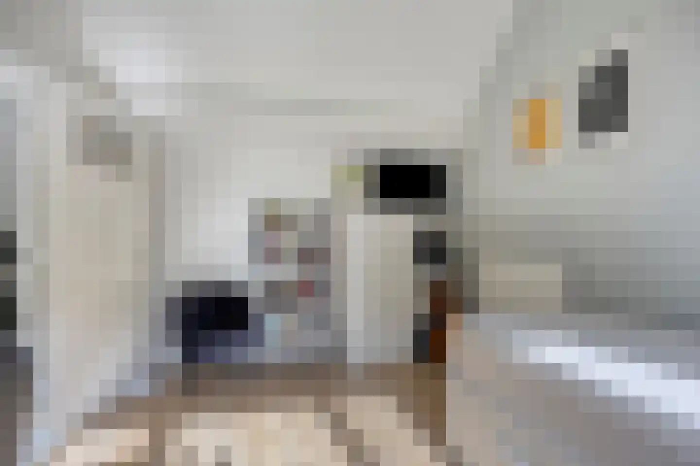 Olieslager 27 Best thumbnail 36