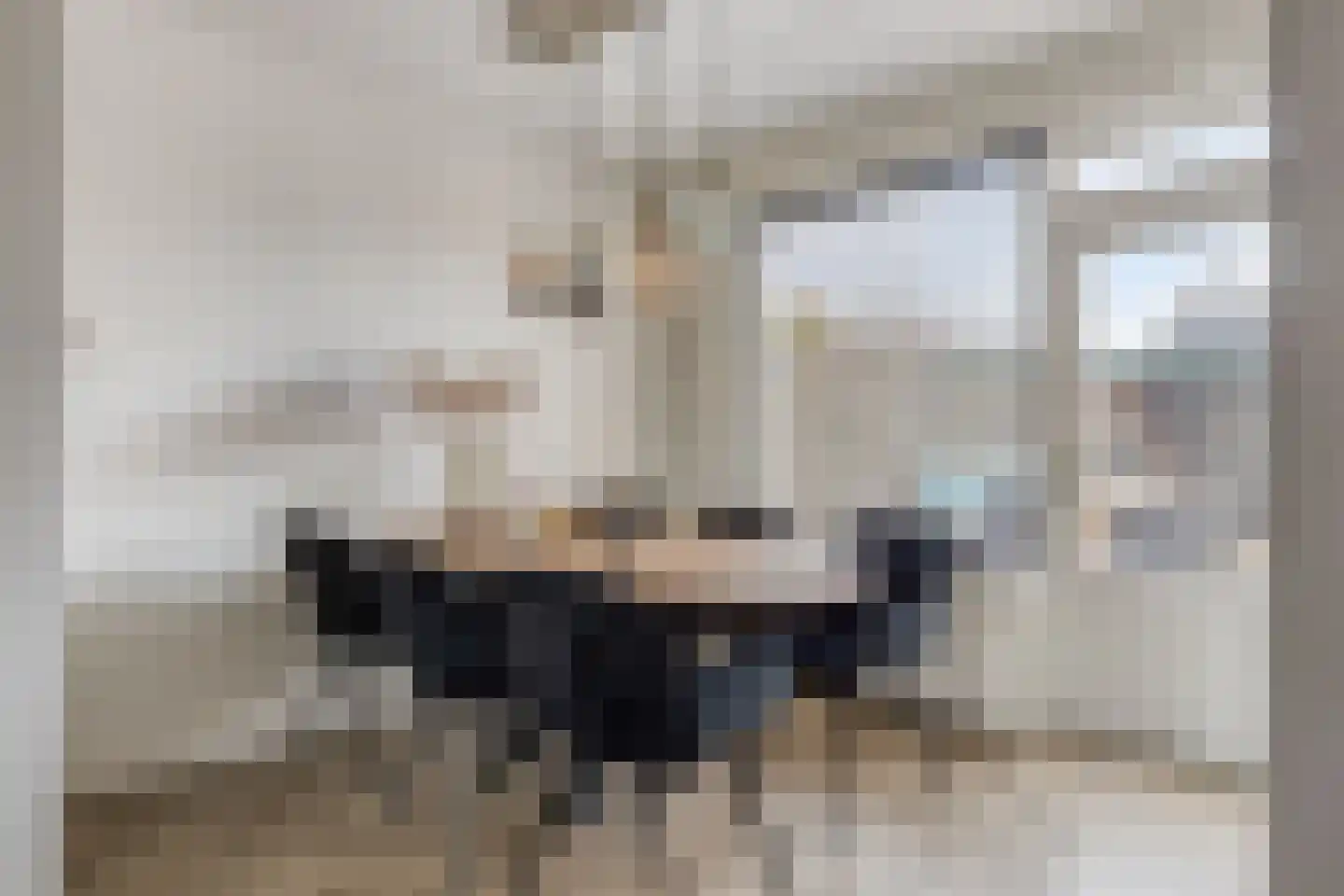 Olieslager 4 Best thumbnail 12