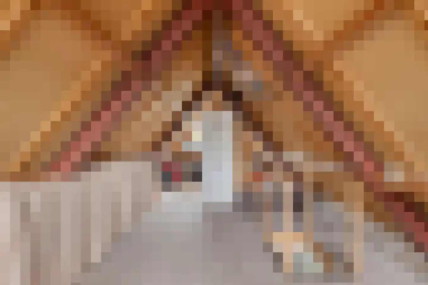 Olieslager 4 Best thumbnail 29