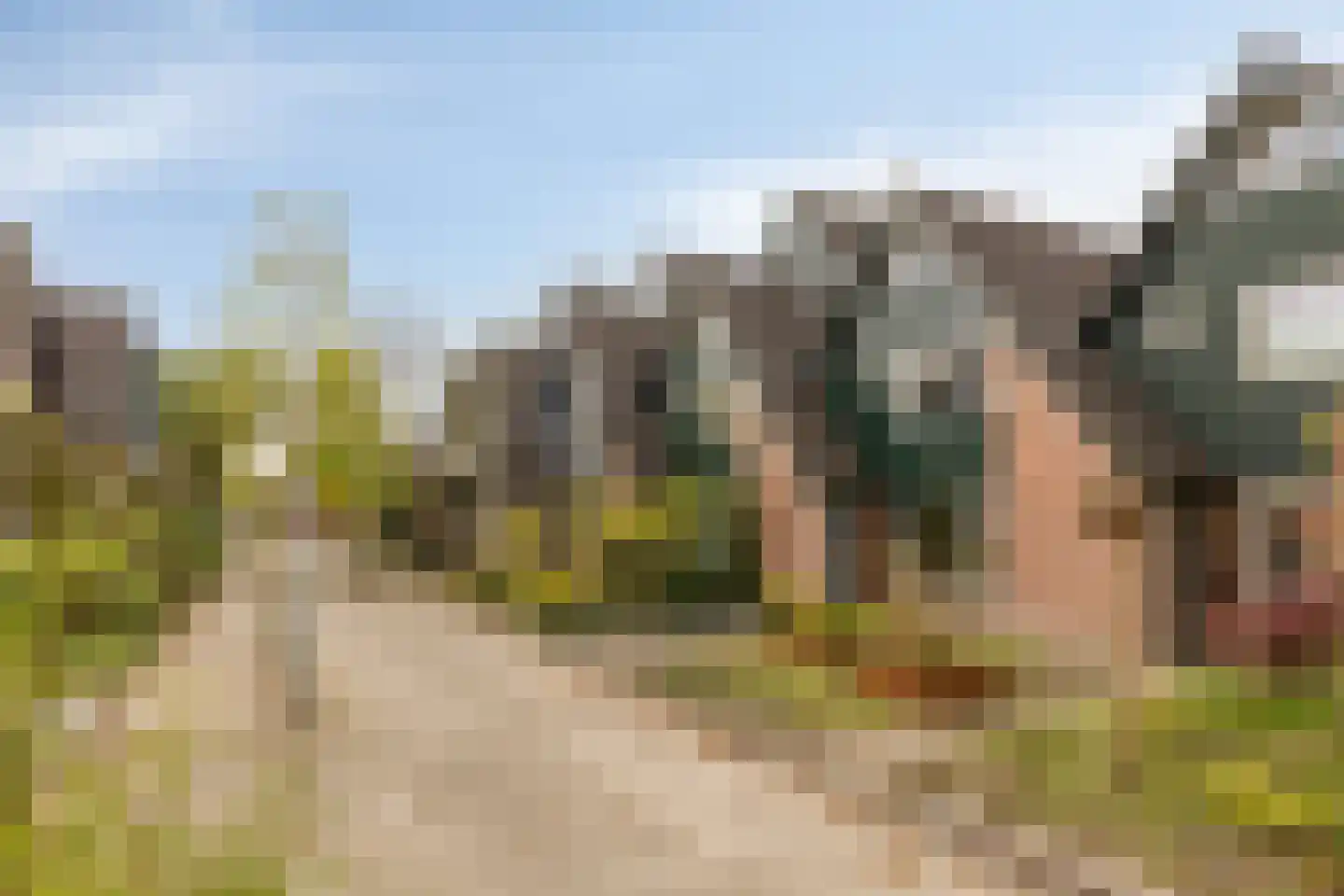 Olieslager 4 Best foto 3