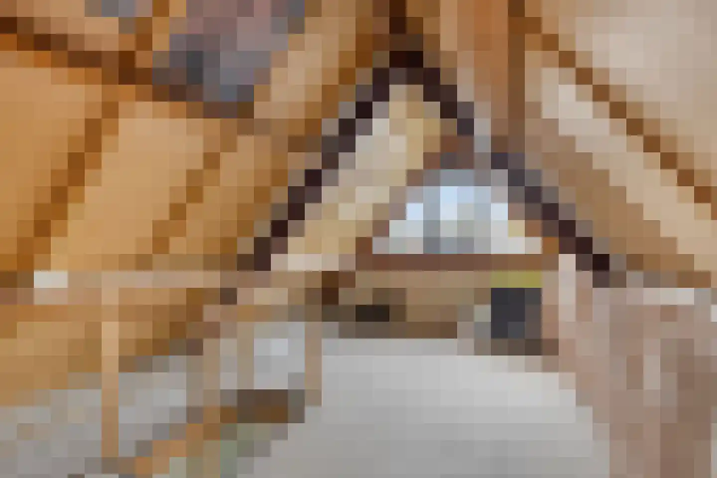 Olieslager 4 Best thumbnail 30