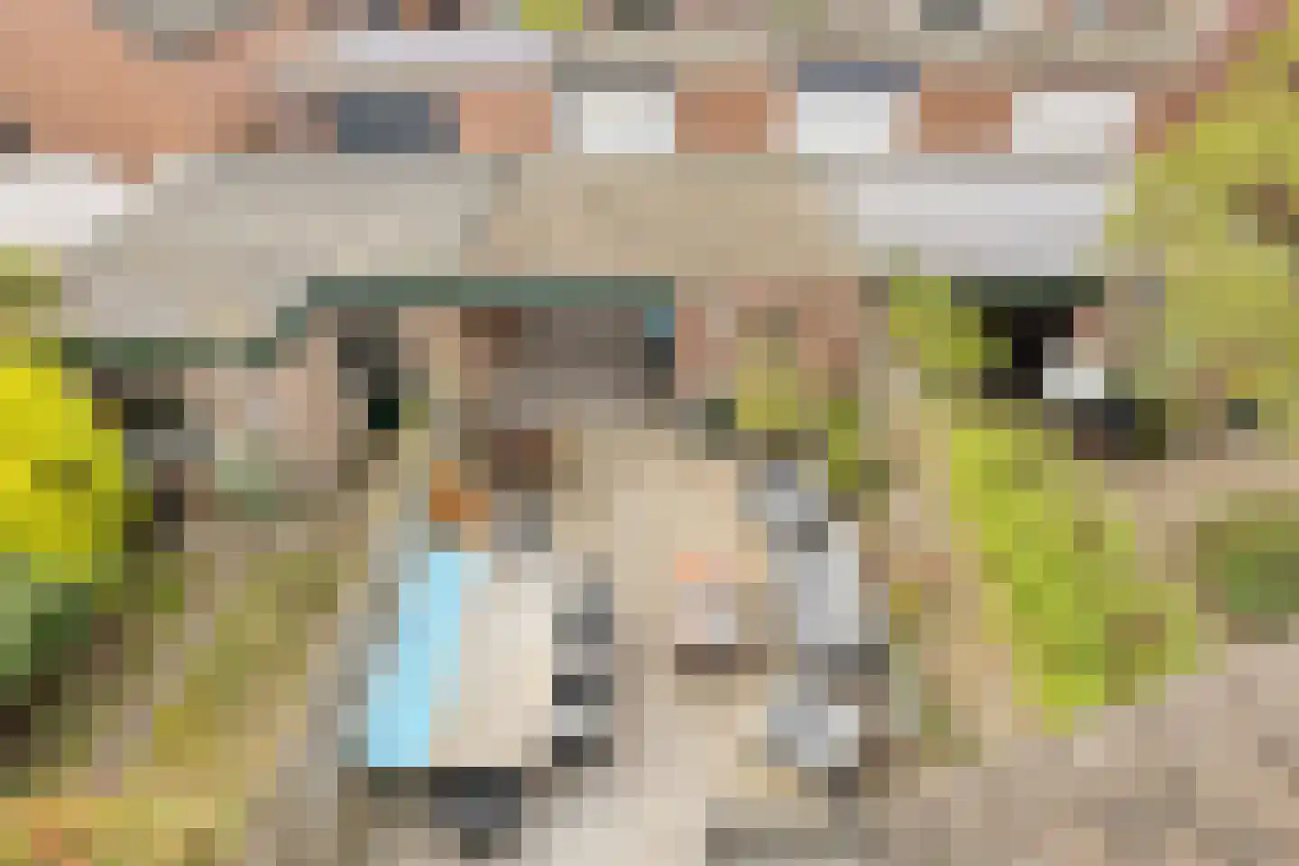 Olieslager 4 Best thumbnail 31