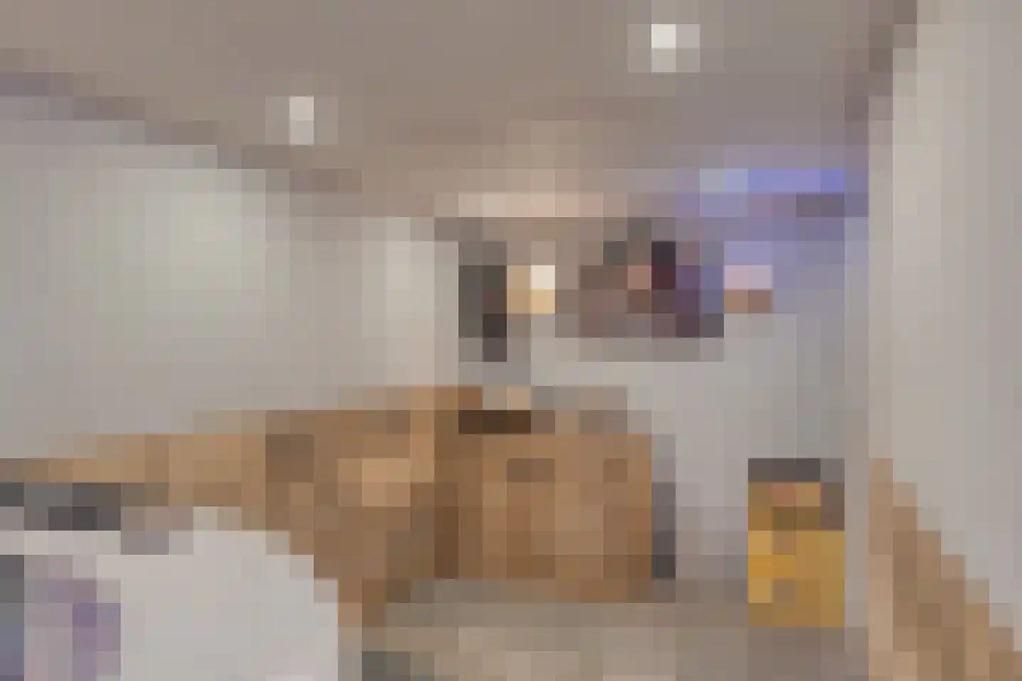Olieslager 4 Best thumbnail 37