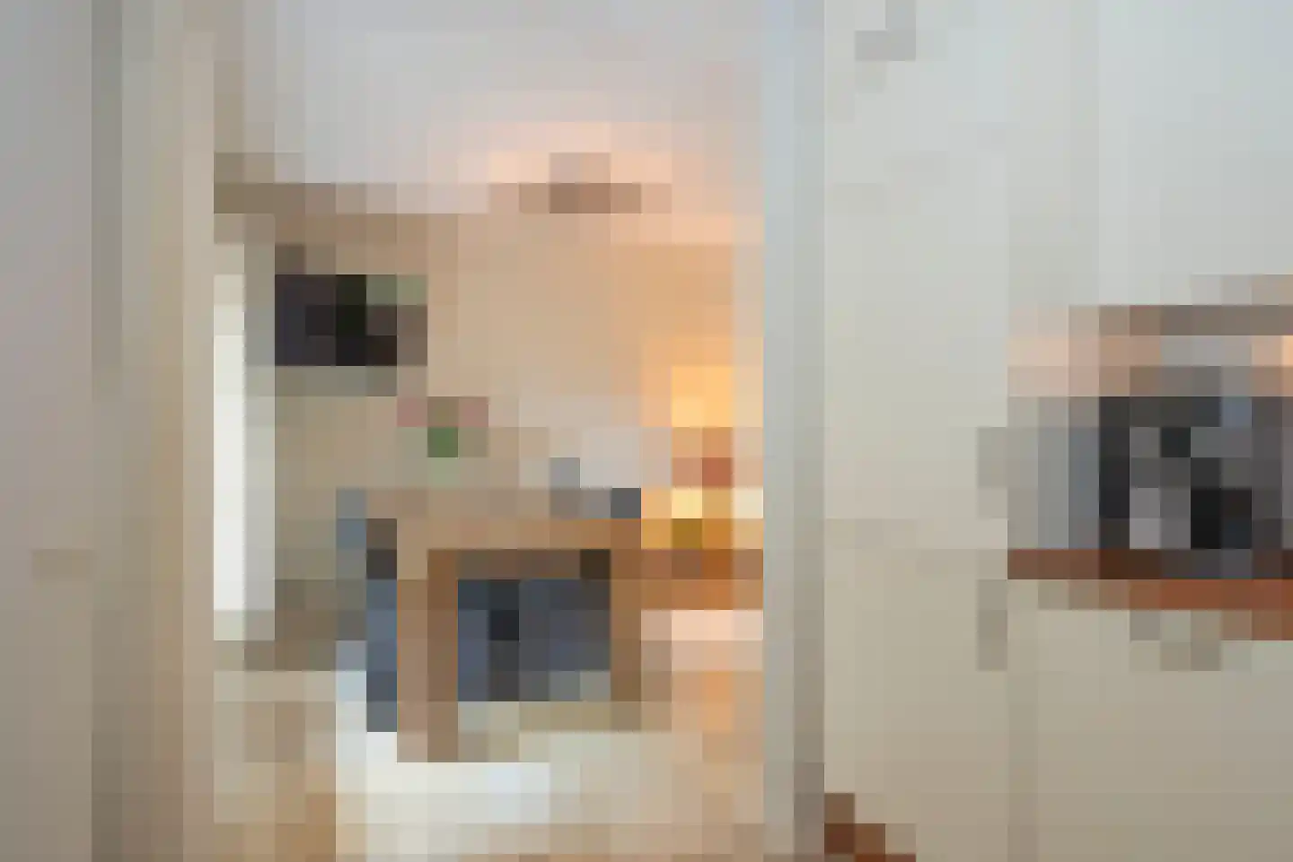 Olieslager 5 Rijssen thumbnail 11