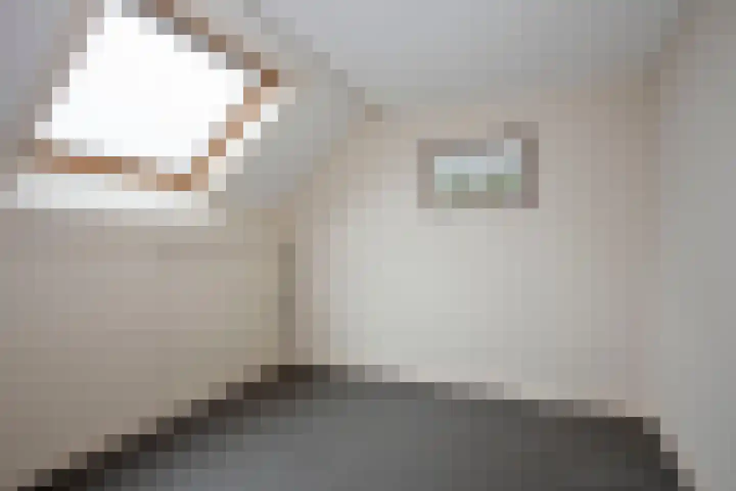 Olieslager 5 Rijssen thumbnail 26