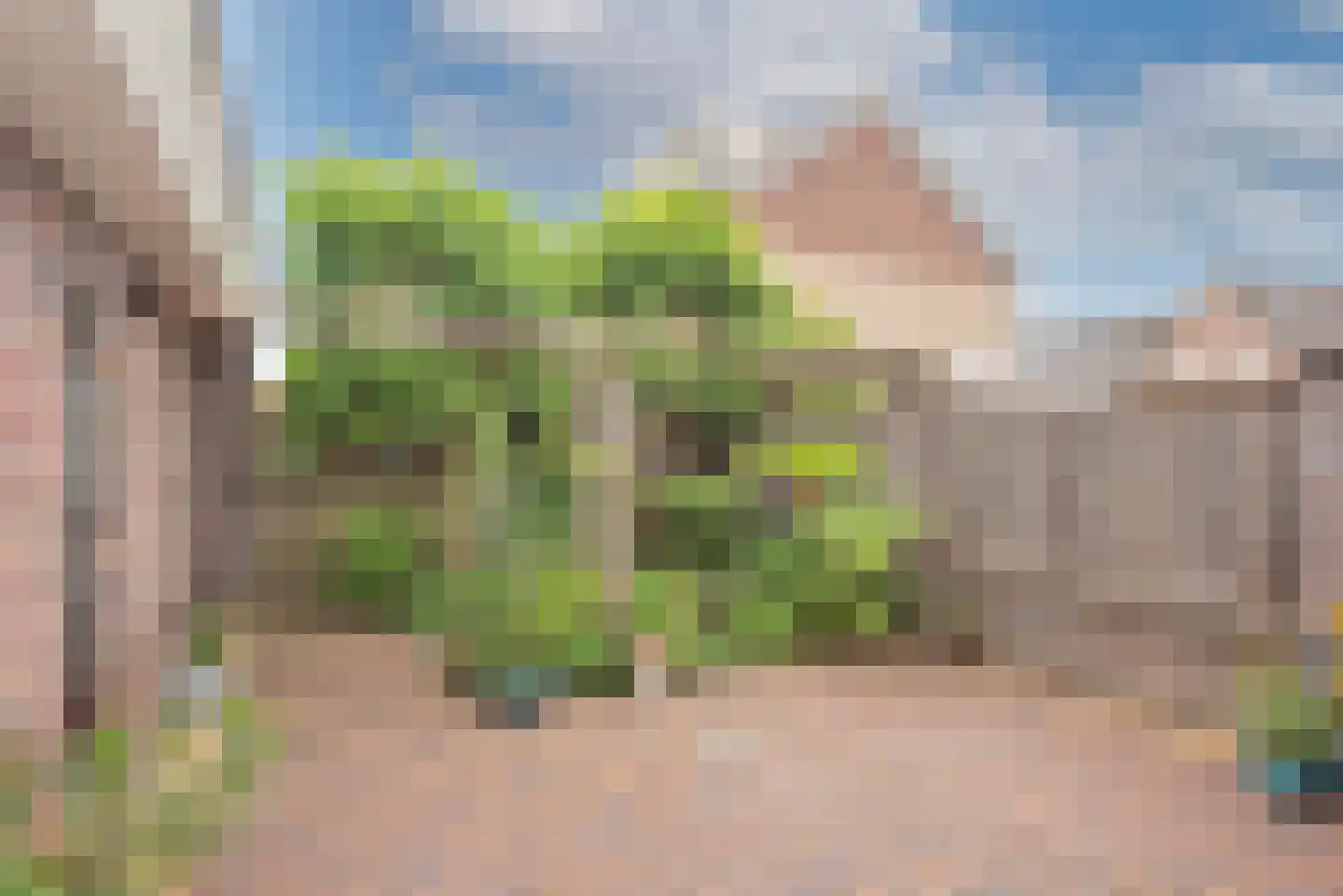 Olieslager 5 Rijssen thumbnail 30