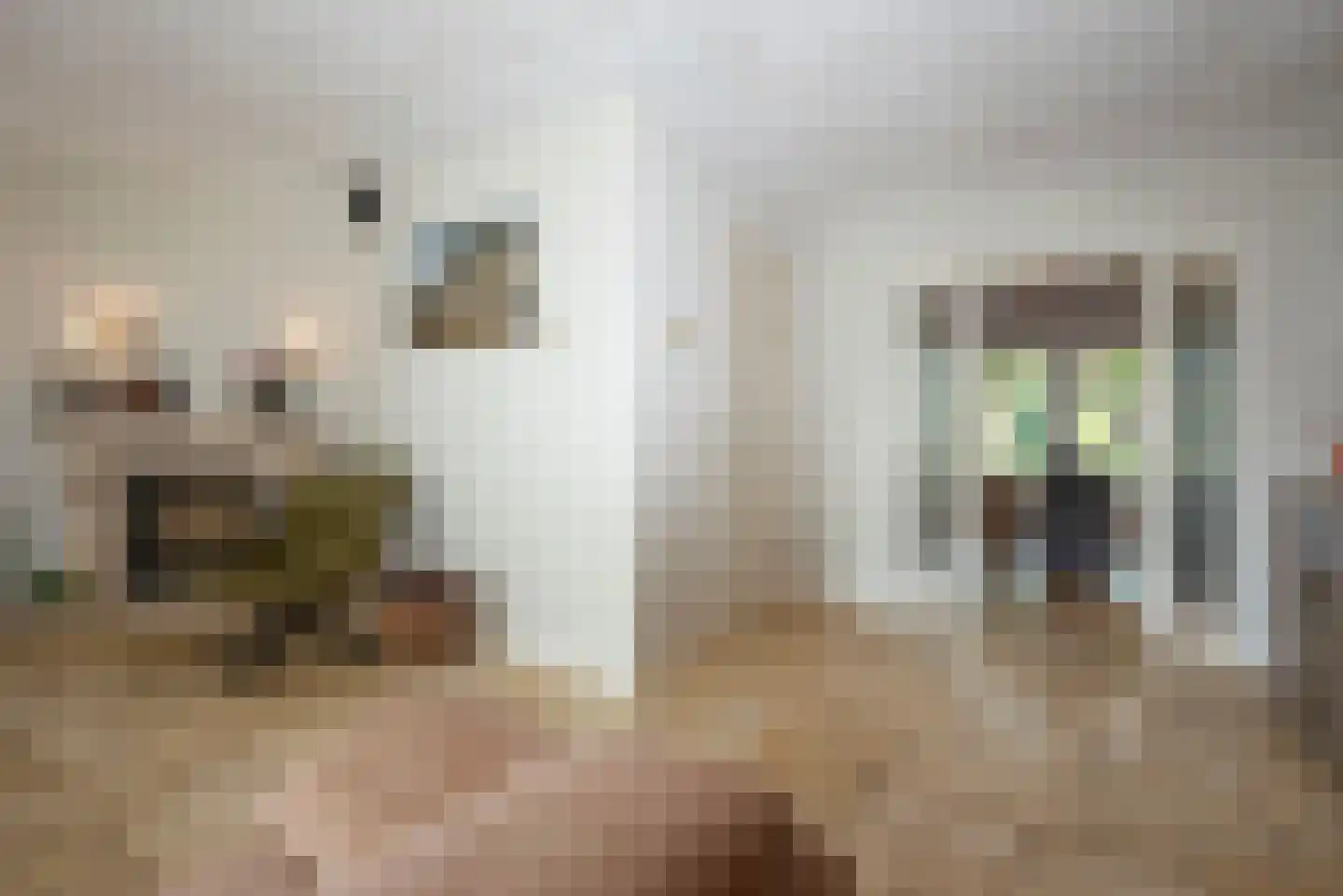 Olieslager 5 Rijssen thumbnail 8