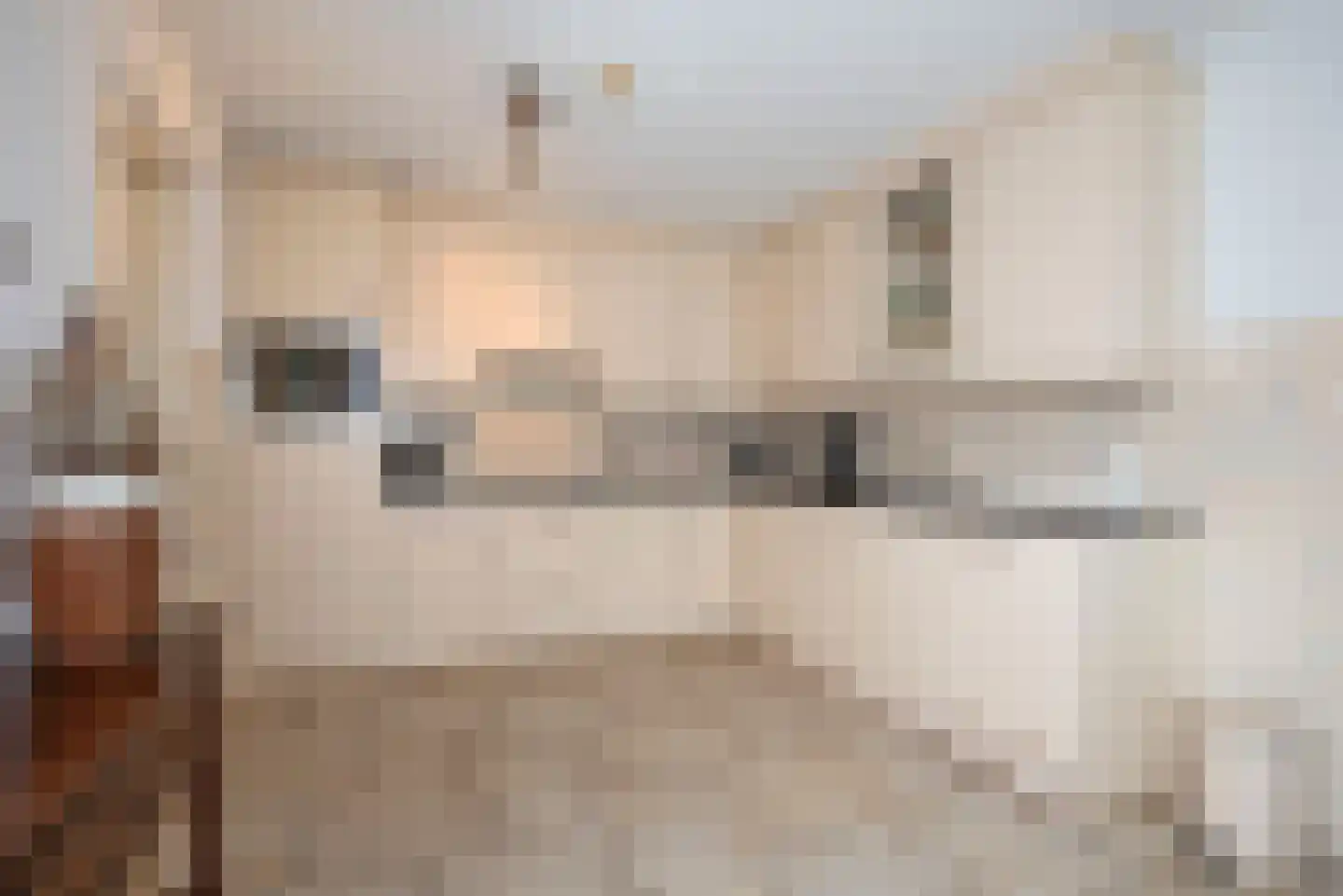 Olieslager 55 Rijssen thumbnail 10