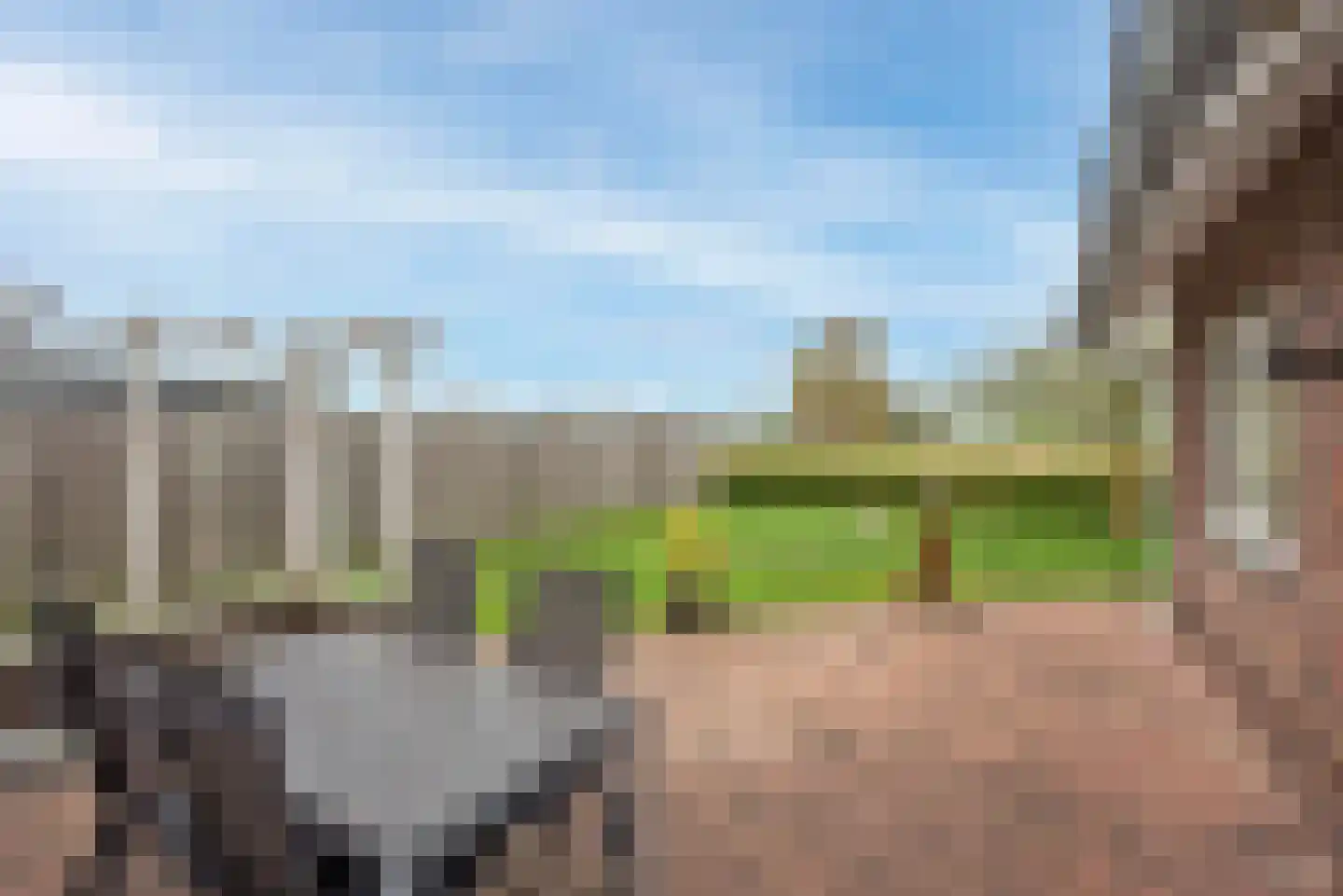 Olieslager 55 Rijssen thumbnail 24